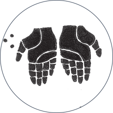 hands