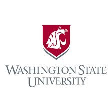 wsu logo 2